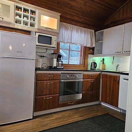 Koivurannan Lomamoekit Maenty Villa Nykala Buitenkant foto